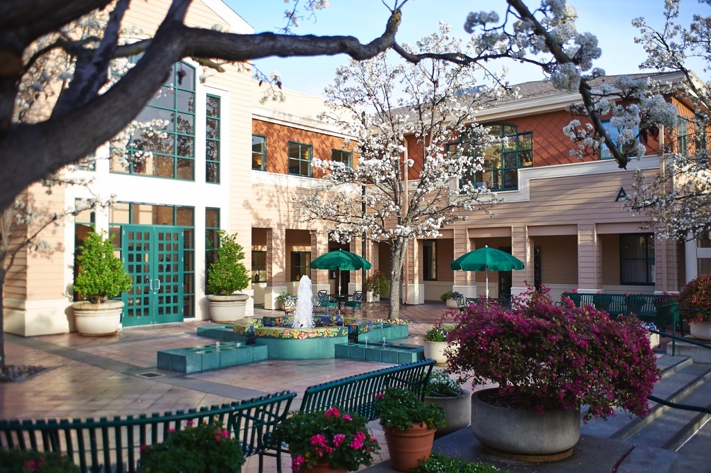 Explore Los Gatos Senior Living